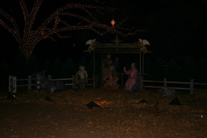 2005/12 December/Trail of Lights/800x600_IMG_4523.JPG